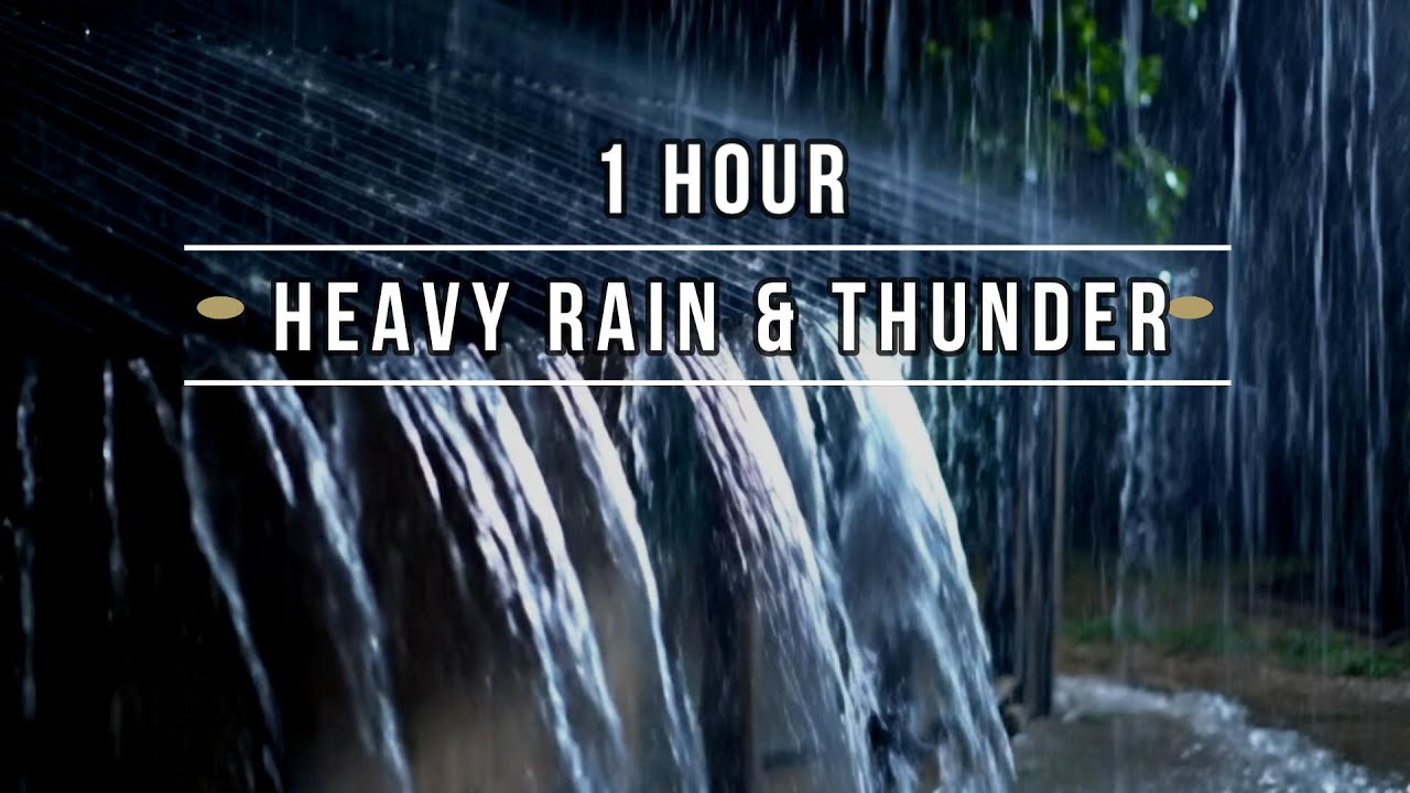 LIVE Heavy Rain on Tin Roof ASMR | Deep Sleep & Relaxation