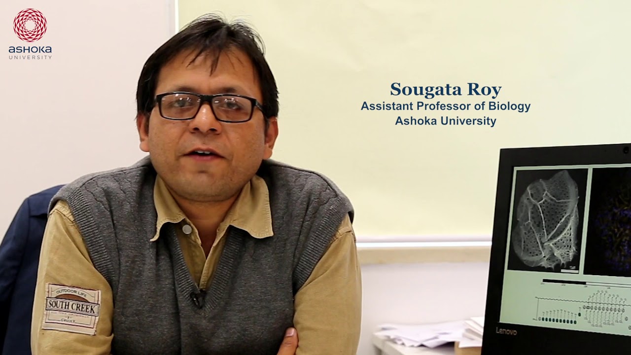 Faculty@Ashoka: Prof. Sougata Roy