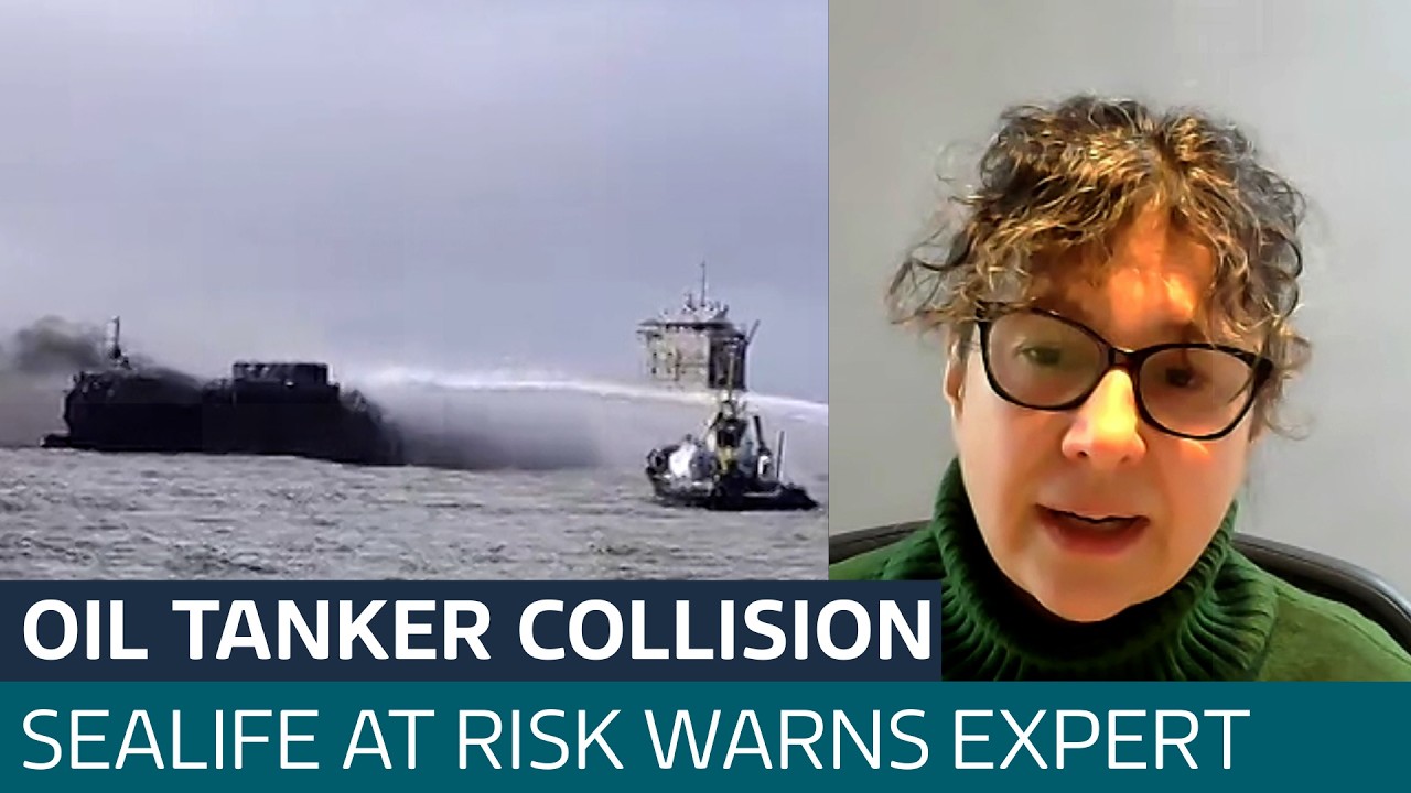 Oil tanker collision could be 'absolutely catastrophic' for marine life, expert warns | ITV News