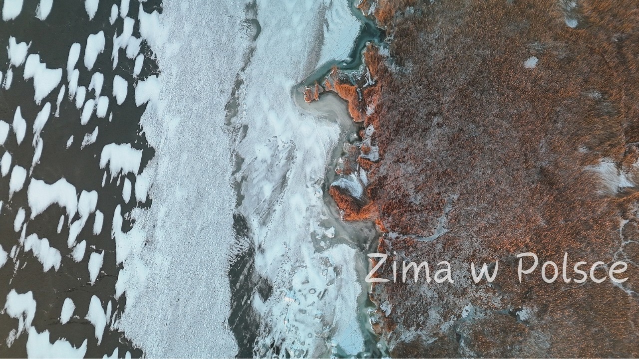ZIMA W POLSCE // fotografia przyrodnicza // sony alpha // dzika przyroda // sony a1