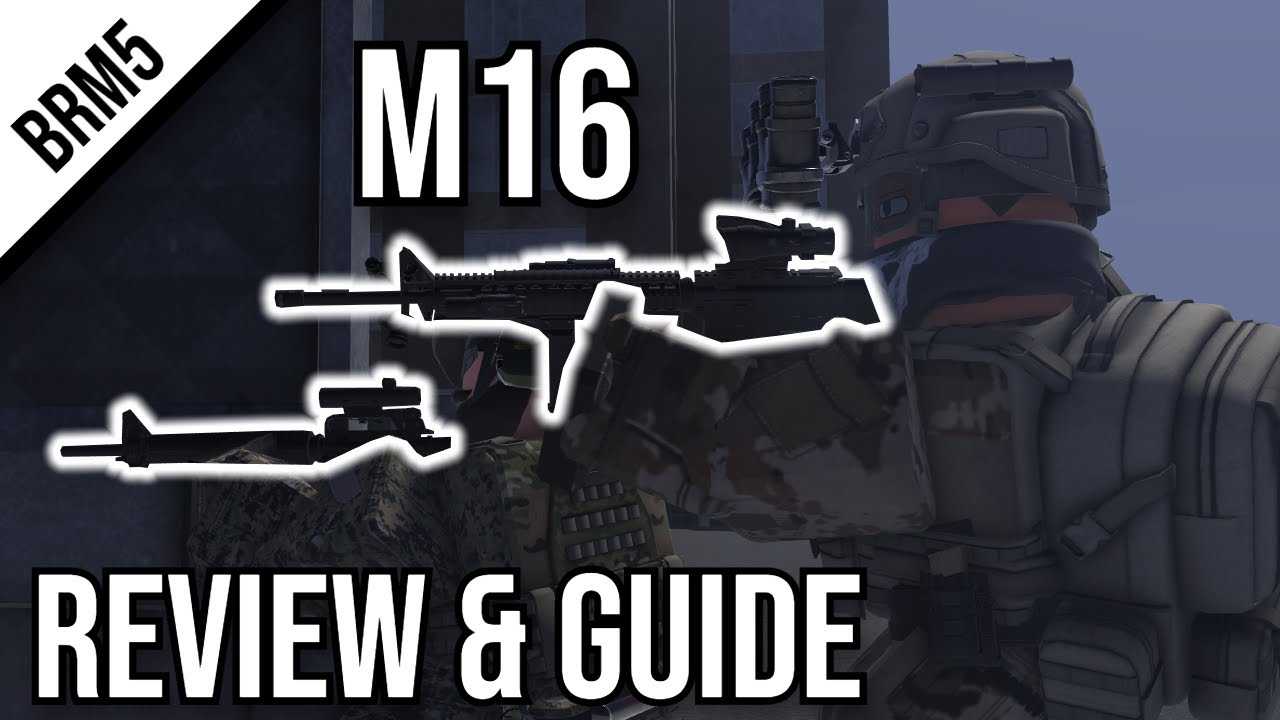 M16A2 & M16A4 Assault Rifle Review & Guide | Blackhawk Rescue Mission 5