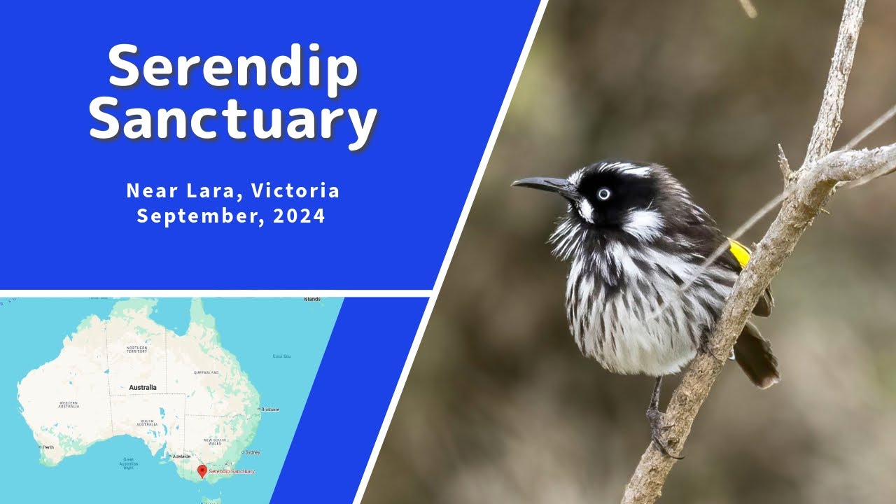 Serendip Sanctuary, Victoria
