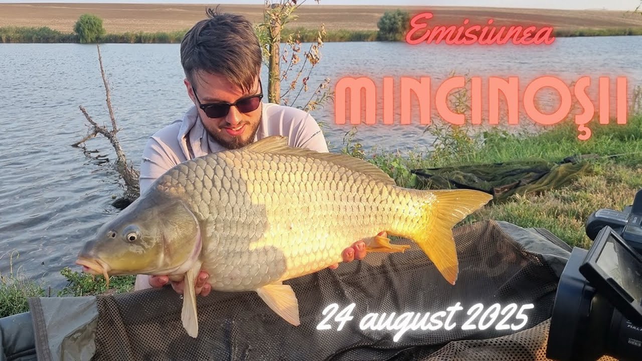 Mincinoșii - 24 august 2025
