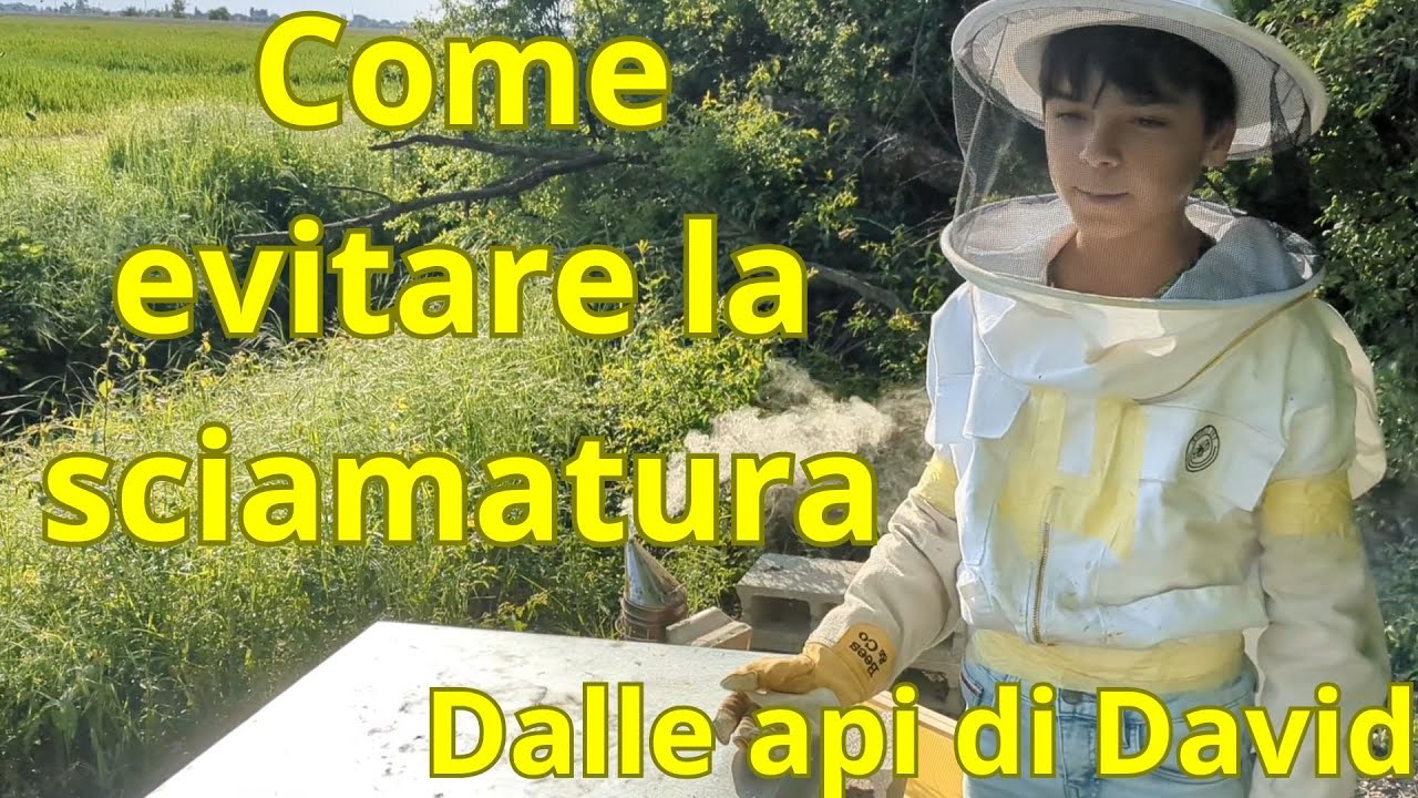 Come evitare la sciamatura