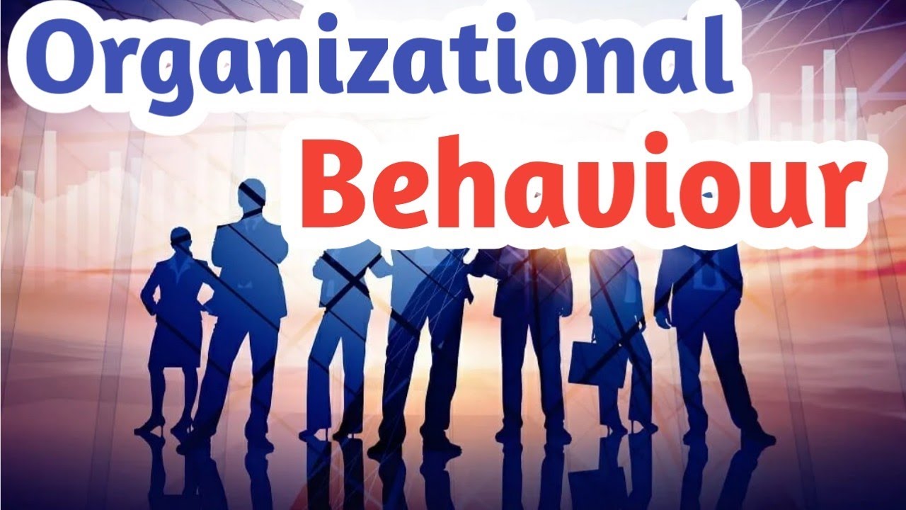 What is Organisational Behaviour? in Hindi | By Syed Fahad