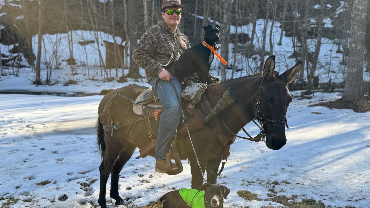 Squirrel hunting off of our MULES! 