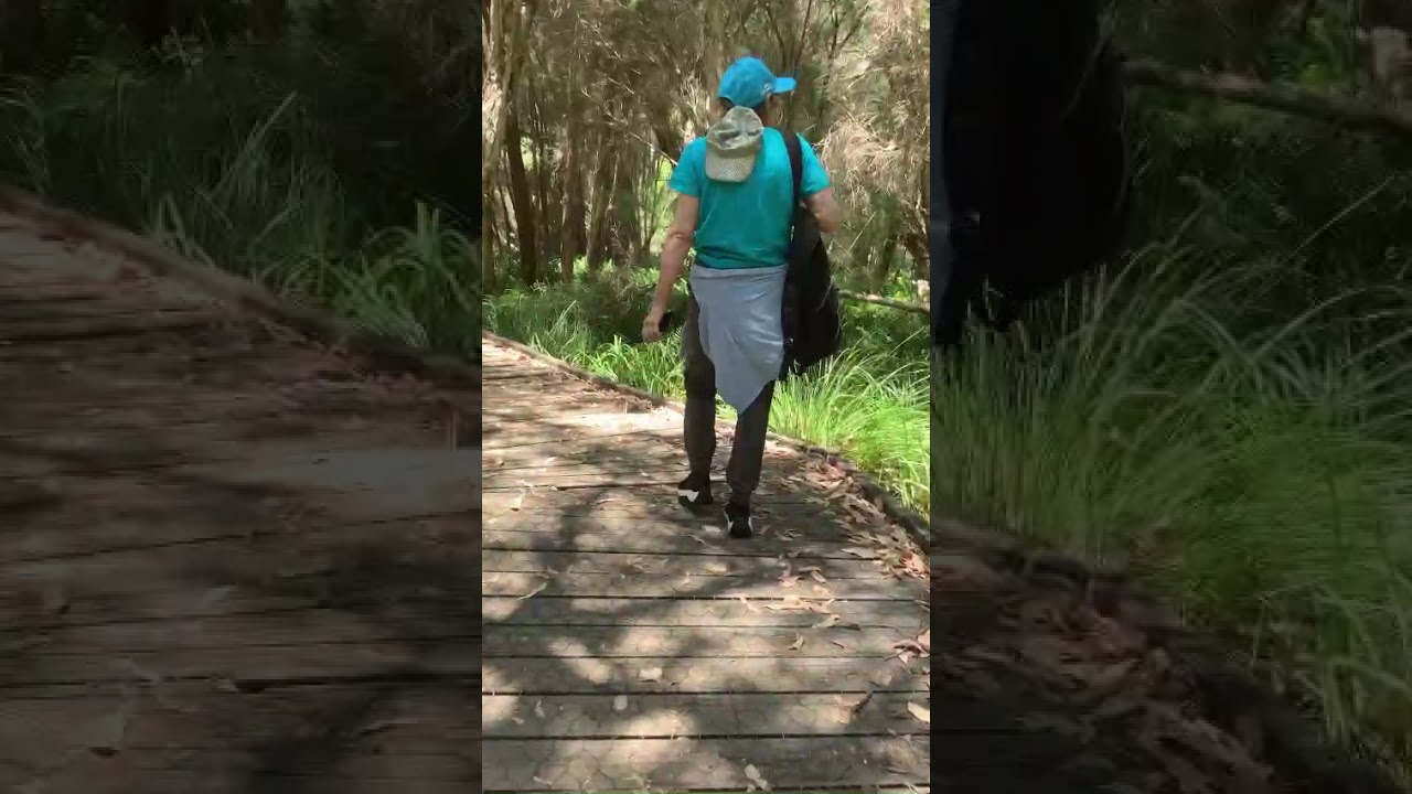 Interesting explore