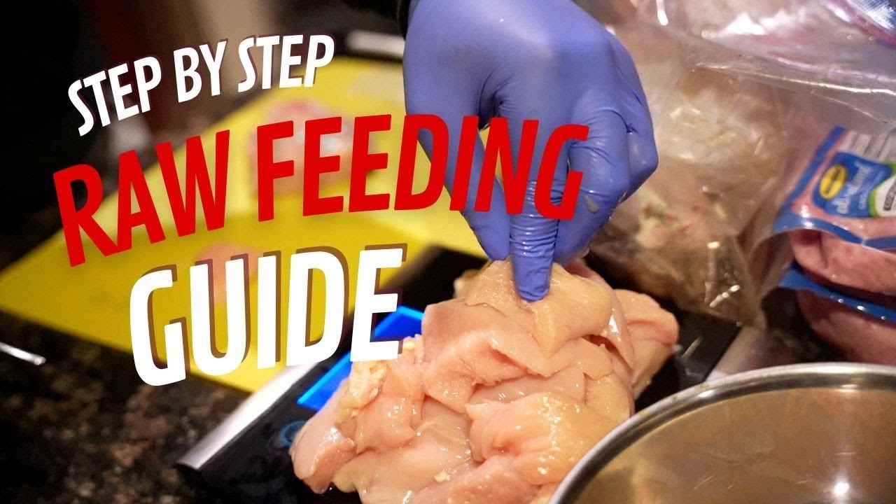 Raw Feeding Guide (Step by Step)