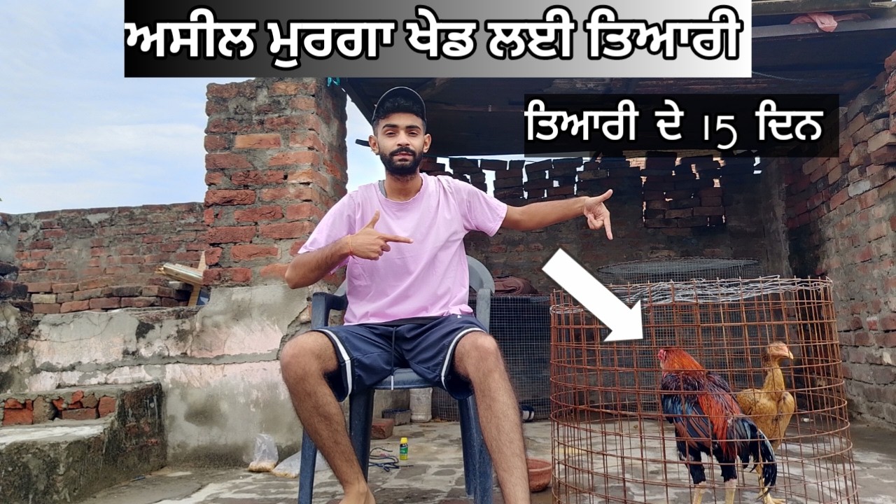 ASEEL murge ko tyar kese kre show ke liye ? @sukreetjaggi