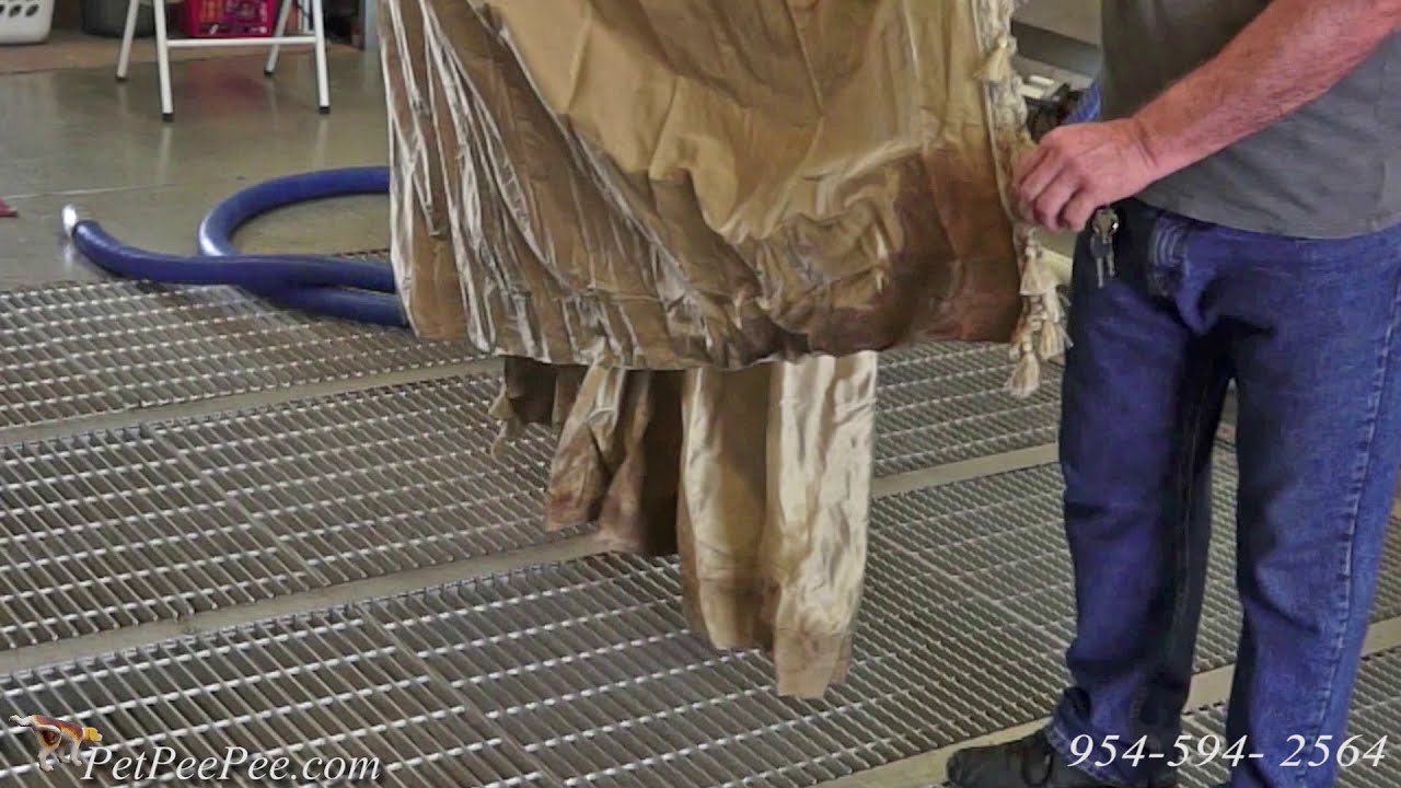 Drapery cleaning from stains and dogs urine odor | by PetPeePee company