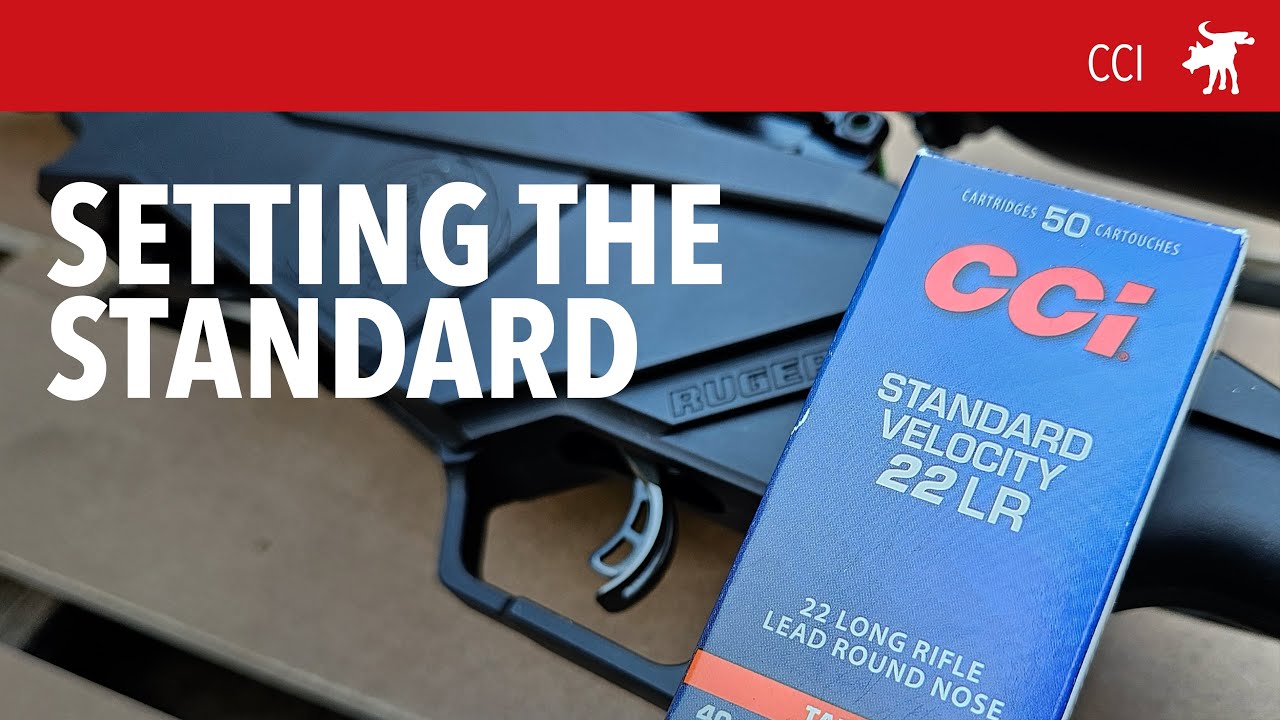 Тестирование CCI Standard Velocity 22LR в моем Ruger RPR