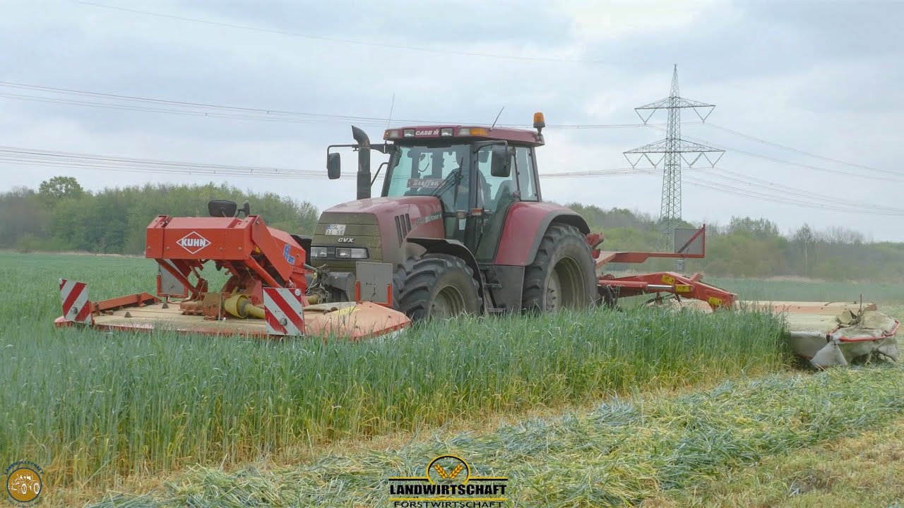 Gr&uuml;nroggen m&auml;hen - GPS Ernte 2020 Case ih 1195 mit Kuhn Butterfly M&auml;hkombination beim Roggen m&auml;hen