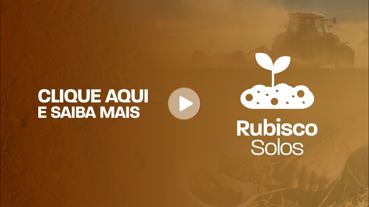 Conheça a Rubisco Solos