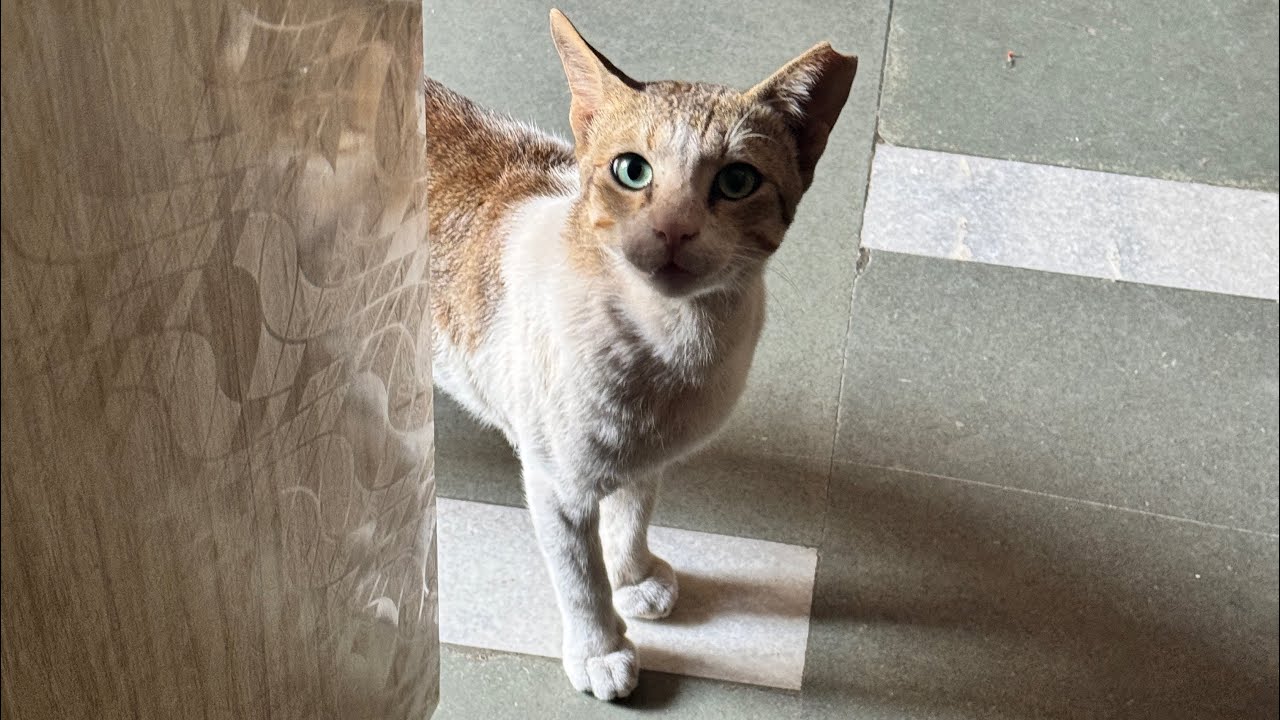 Enjoy everyday 🫶🏽