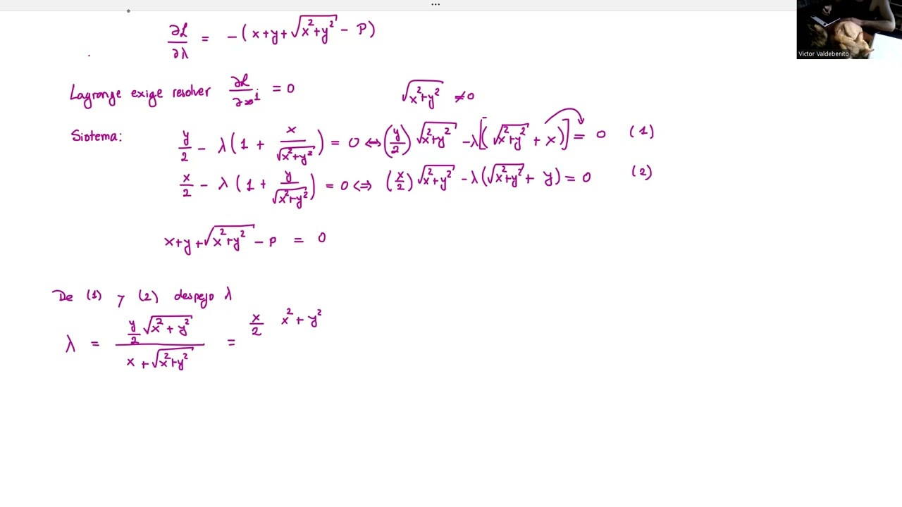 Ejercicio 01 Multiplicadores de Lagrange