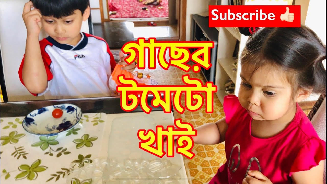 সাফওয়ান বনাম শানায়ার টমাটো খাওয়ার রিয়্যাকশন । safwan VS shanaya's reaction of eating tomato 🍅