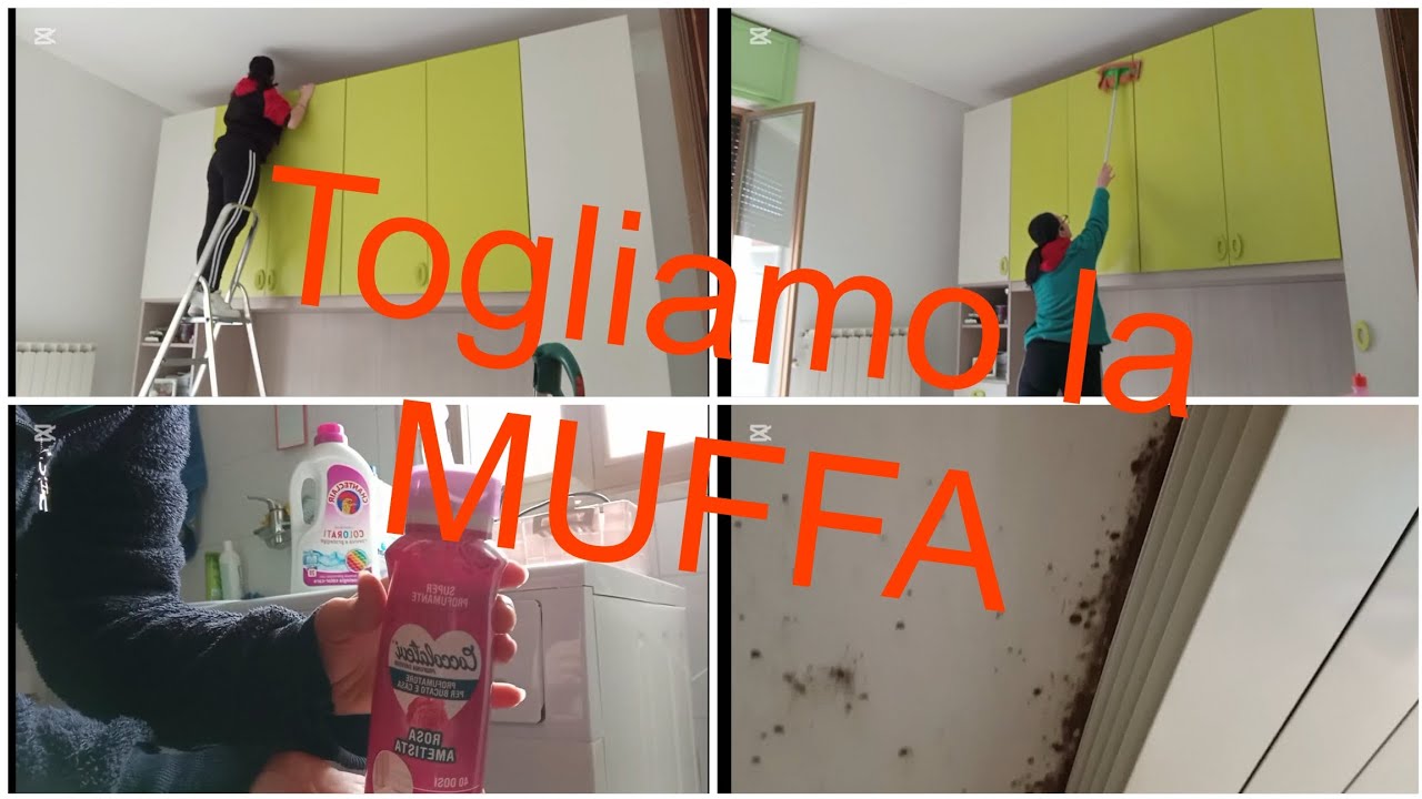 Puliamo i muri dalla muffa🪣🧽🧴