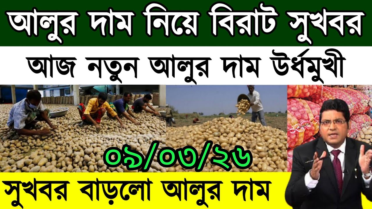 আজকের আলুর বাজার মূল্য/india potato news West bangal/Potato price today west bengal