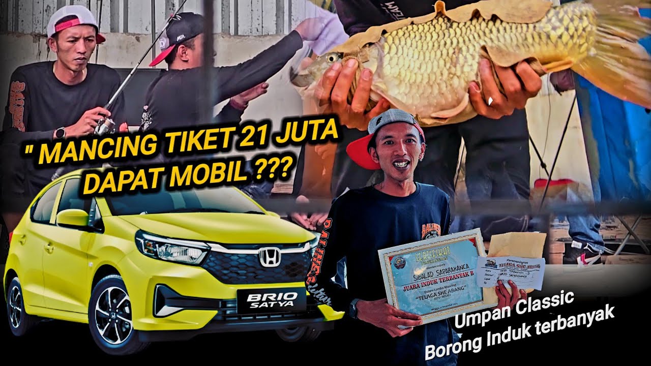 Pesta narik induk bertubi -Tubi??  Settingan umpan ikan mas rame dan indukan Media umpan Amis