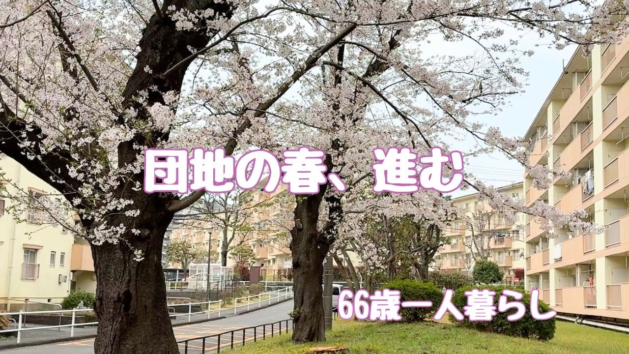 団地の春、進む｜66歳一人暮らし Vlog37