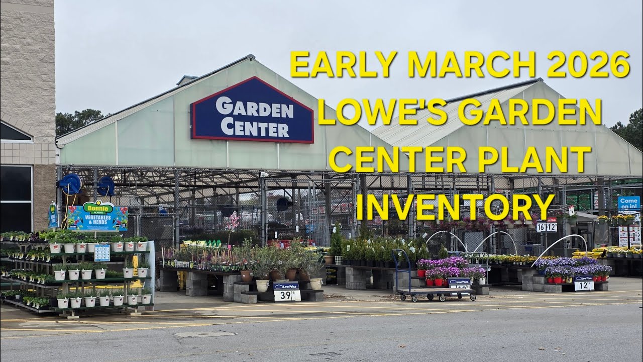 Early March  2026 Lowe's Garden Center Plant Inventory. Shrubs, Perennials And Annuals.