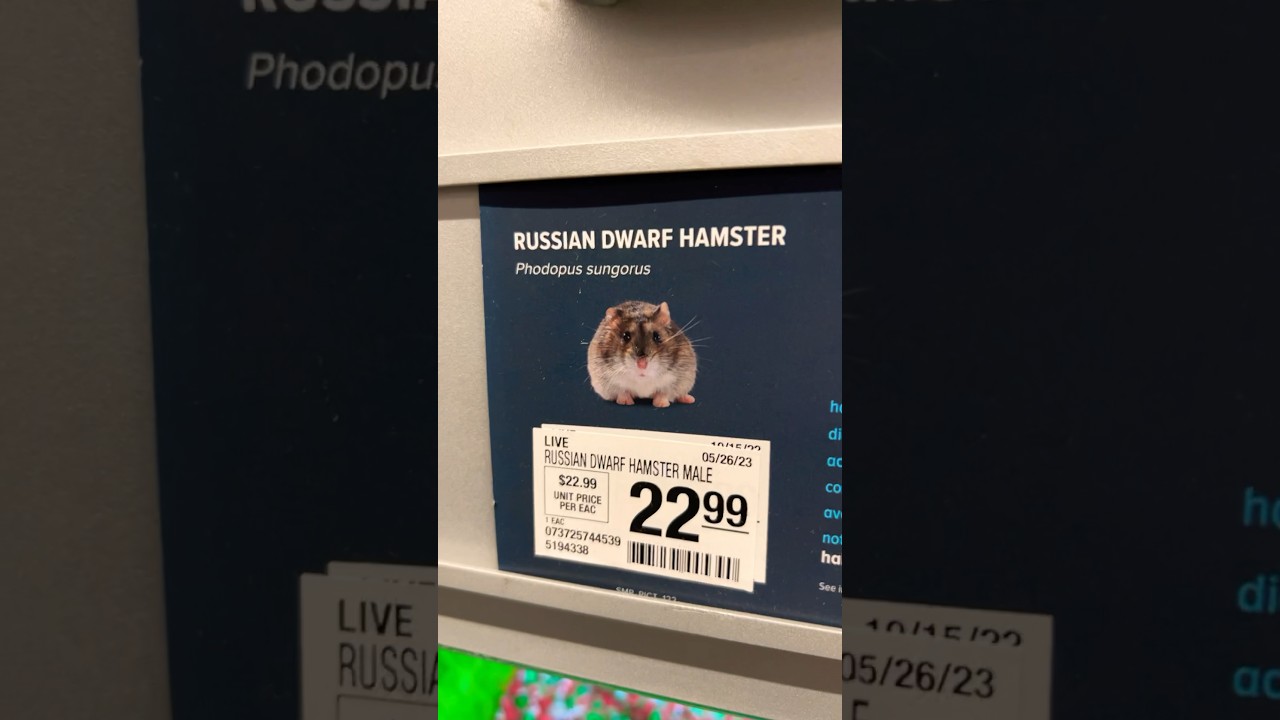PETSMART ОТМЕНЕН! 🐹😳🤣