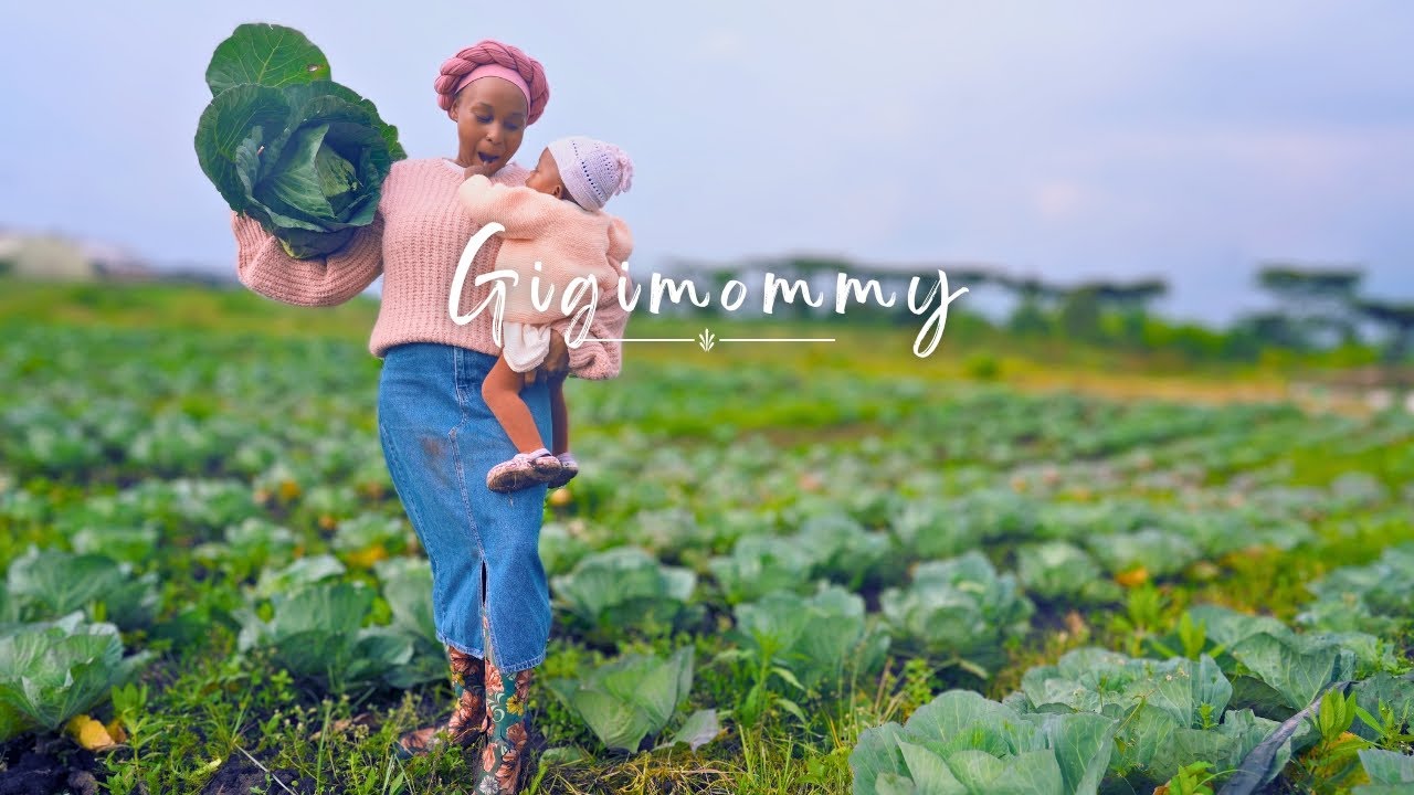 Beautiful Organic Garden Harvest  | Homemade Treats 🥐 #beautiful #harvest  #organic #homemade