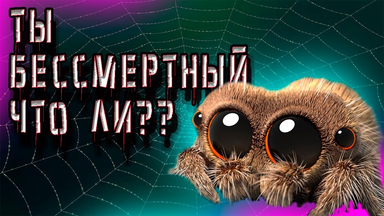 УБОРКА У НЕРВНЫХ ПАУКОВ!