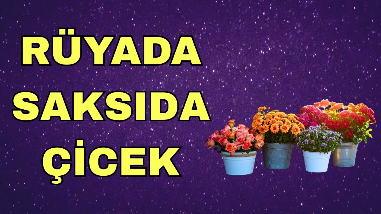 Rüyada Saksıda Çicek Görmek Ne Anlama Gelir? Şaşırtan Tabiri