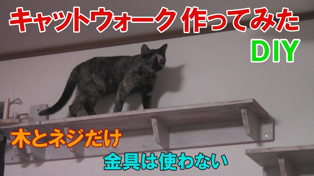 【DIY】簡単なキャットウォークの作り方を解説！！