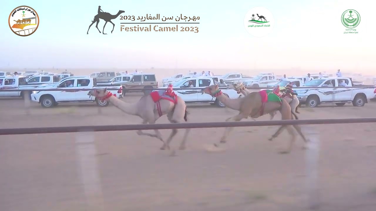 1/ الشوط الرئيسي بكار مفاريد  مفتوح 1500م /   سهم  / علي مرسل ال رزق