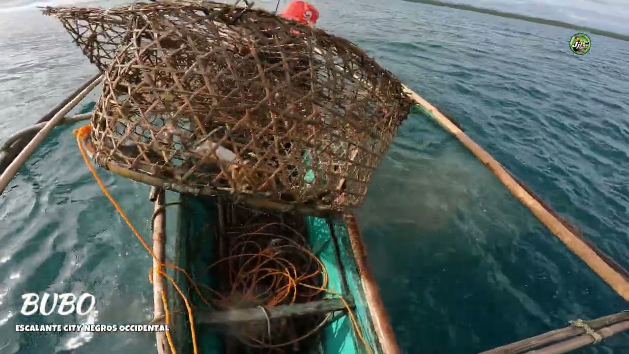 TRADITIONAL BUBO (BOBO) FISHING IN ESCALANTE CITY NEGROS OCCIDENTAL #fishing