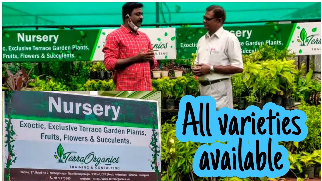 163 - All variety plants at one place ఇక్కడ ఒకేచోట అన్నీ దొరుకుతాయి 