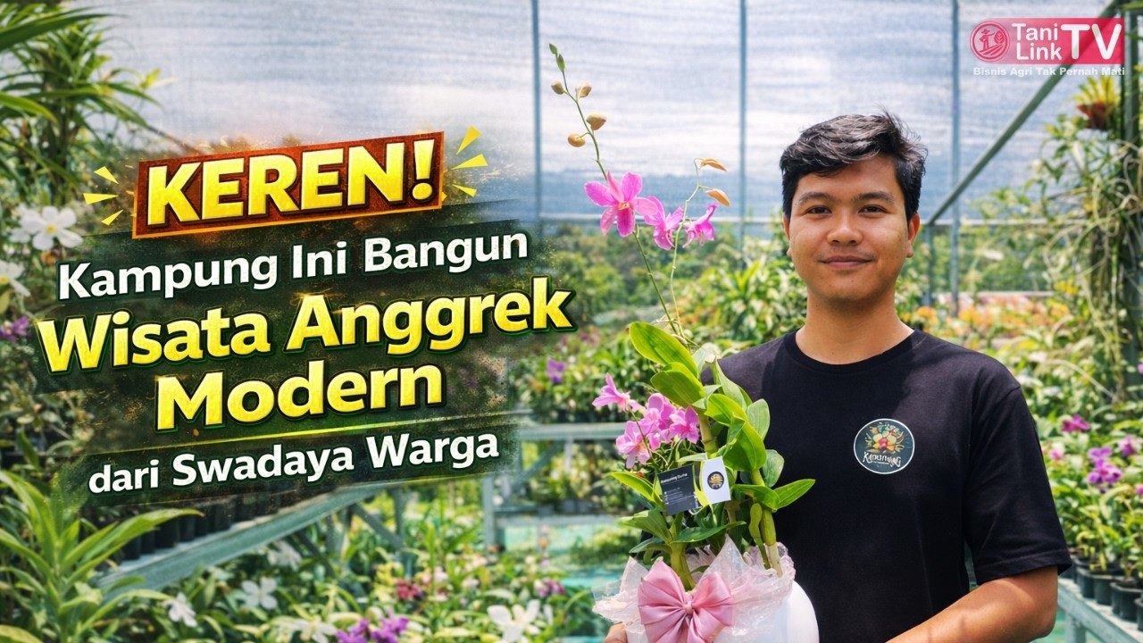 Dulu Nggak Punya Tempat Wisata, Sekarang Jadi Pusat Anggrek Terlengkap! Kok Bisa?