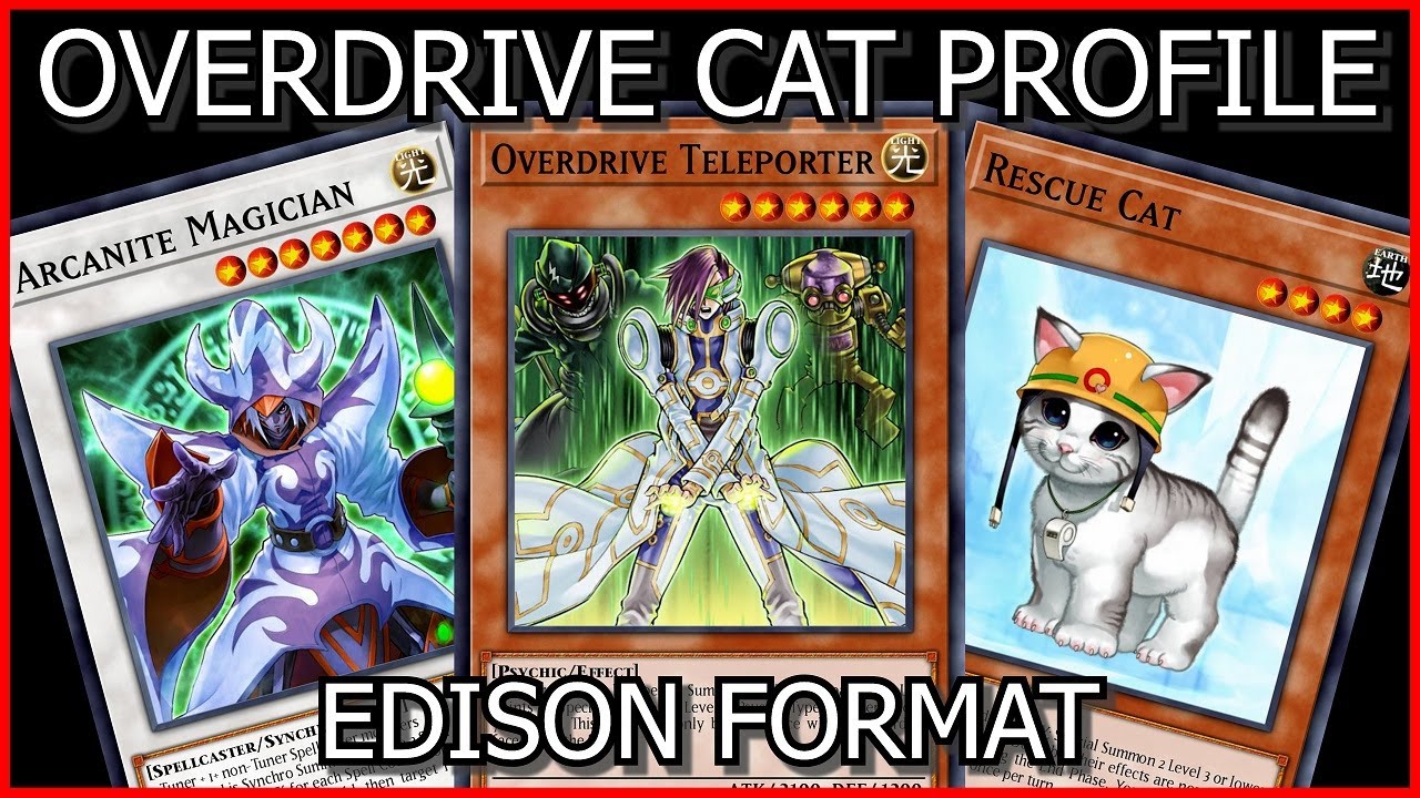 Overdrive Cat Profile - Edison Format Yu-Gi-Oh!