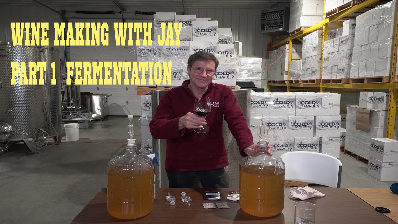 Beginner Wine Making - Fermentation