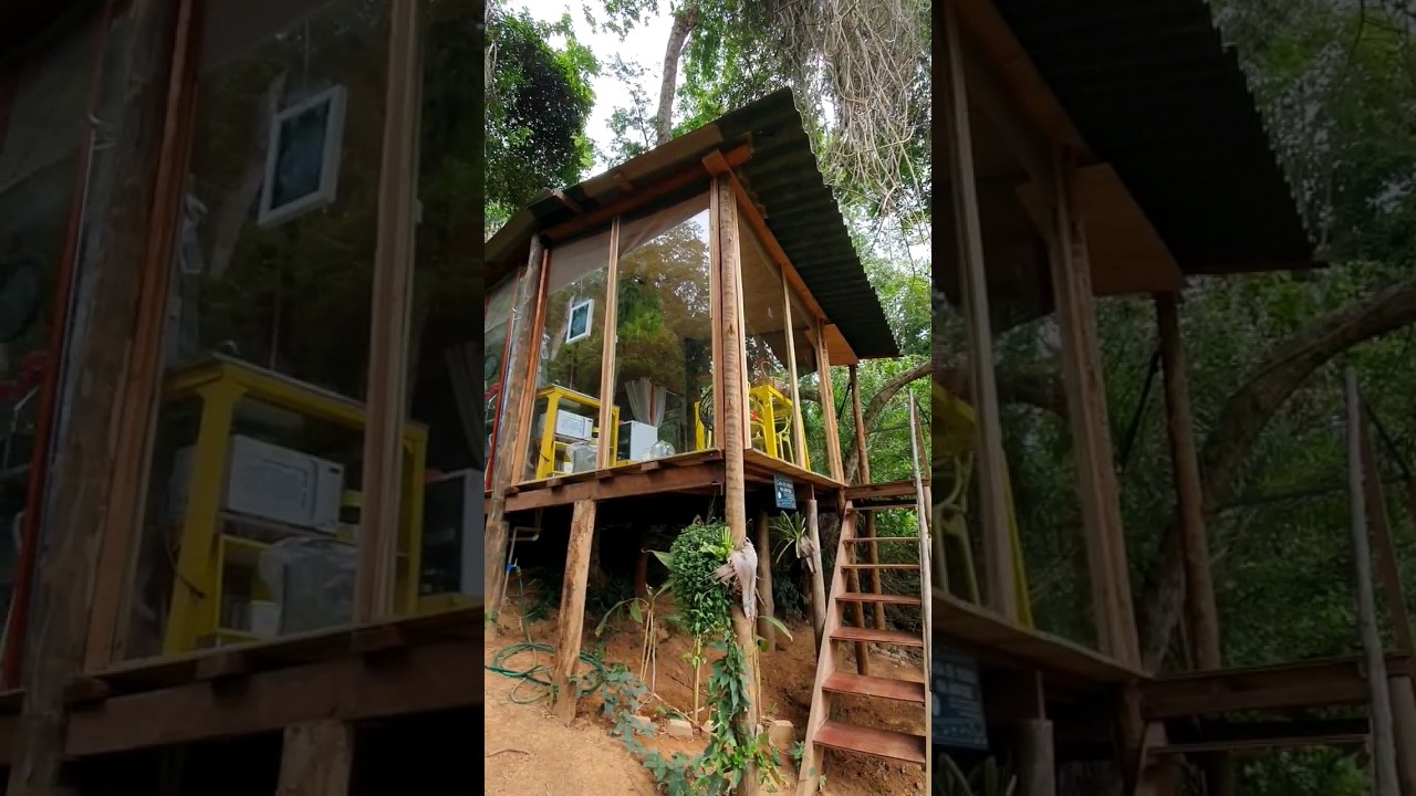MINI CASA DE VIDRO NA &Aacute;RVORE 🌿 #shorts #casadevidro #airbnb #minicasa
