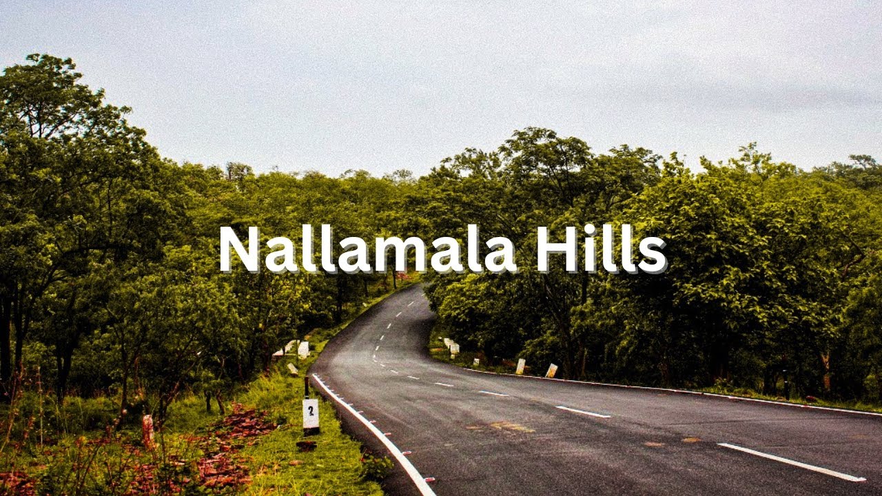 Nallamala Forest | Andhra Pradesh | India