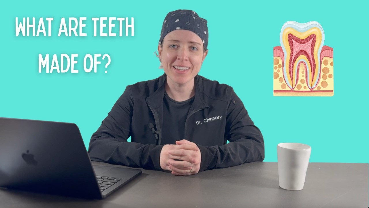 What Is a Tooth Made Of? From Baby Teeth to Adult Teeth