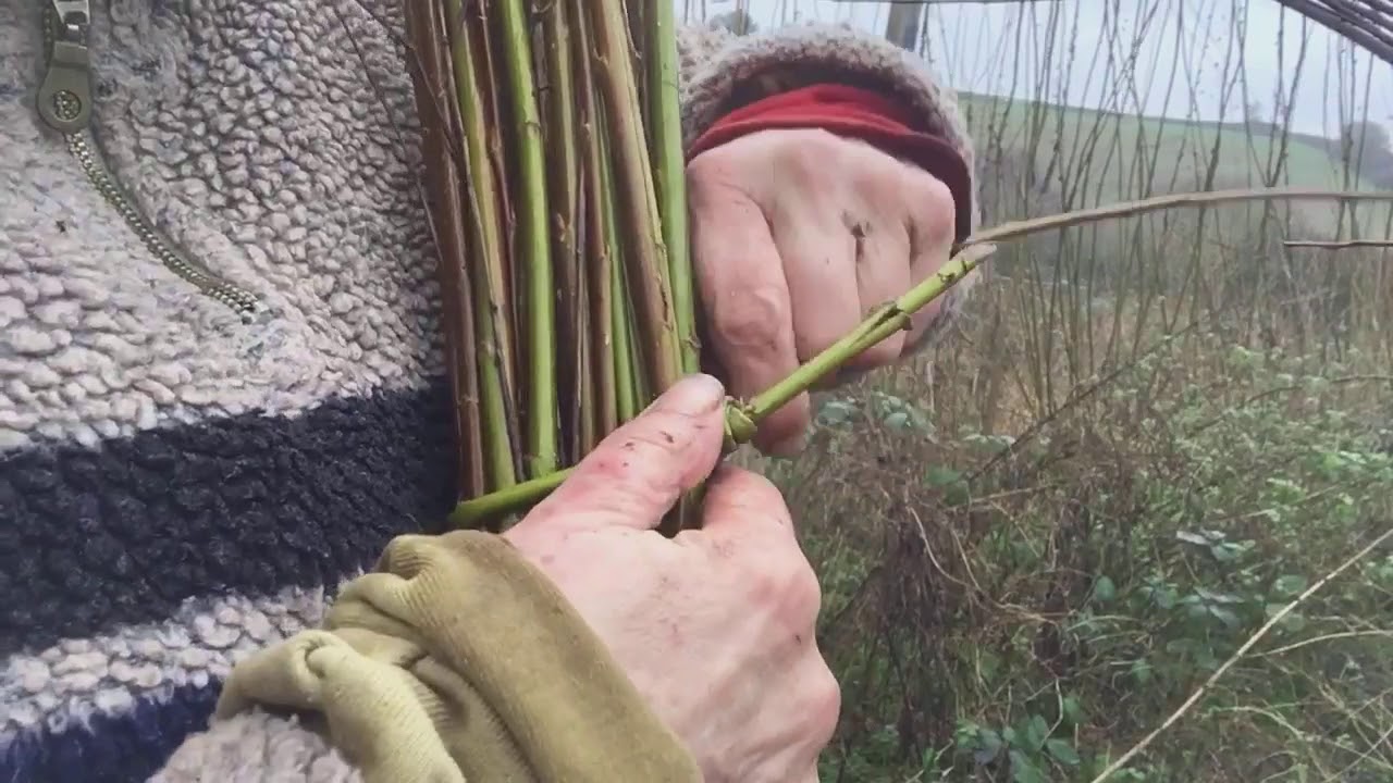 Deggie teaches you how to create a 'Rose Knot', Used for bundling willow