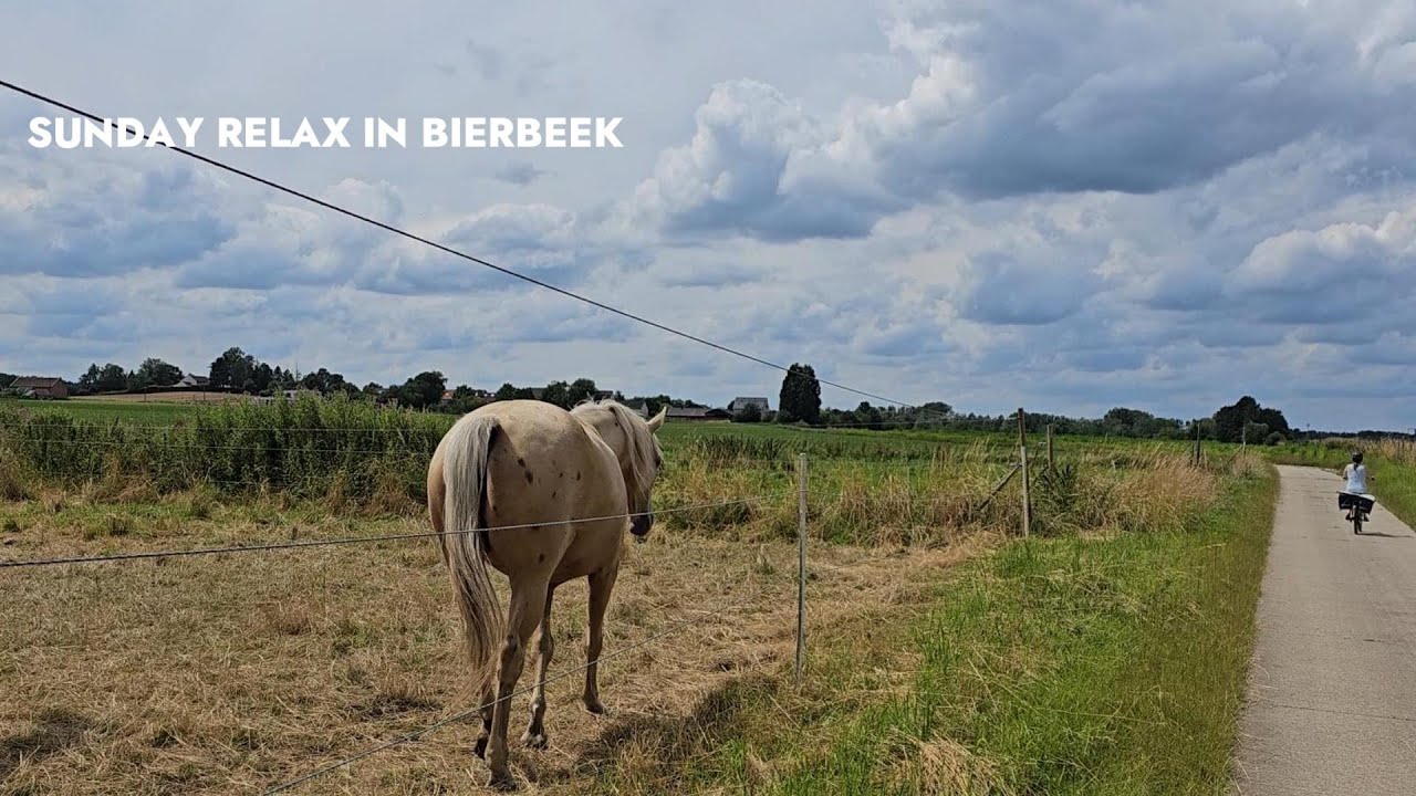 Bierbeek Sunday Relaxing