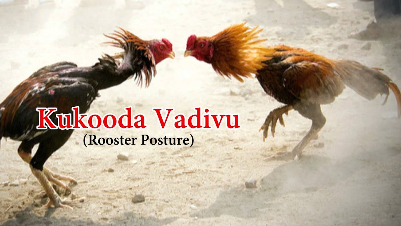 Kalari Animal Posture Presentation by VUCBE