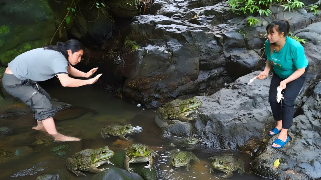 Wife and husband go into the forest together to catch frogs - How to ferment rice to make wine