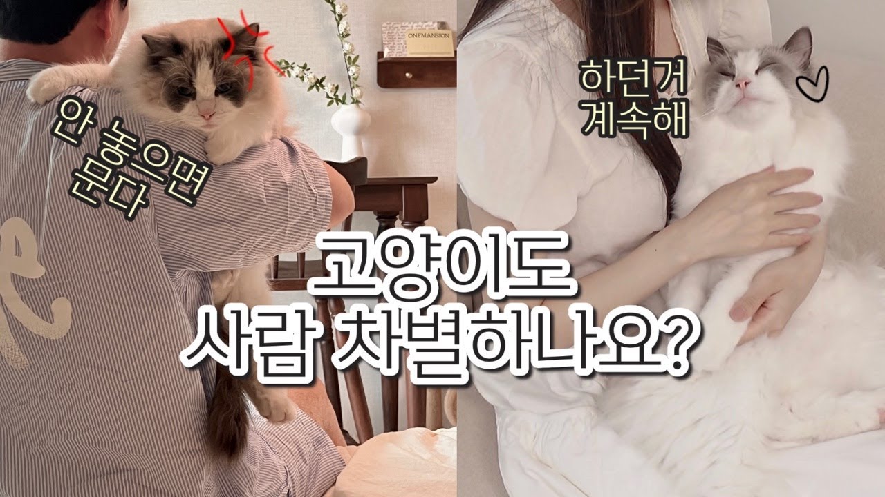 고양이의 남집사와 여집사의 반응 차이➰🫥✨