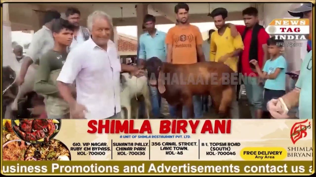 Green Bakrid & Virtual Celebrations: Maulana Rashid Firangi Mahali Shares How to Observe Bakrid Amid
