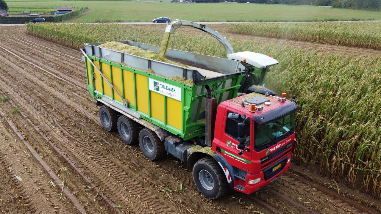 Mais hakselen met Tolkamp agri service  / Ginaf X4446 TS / Claas Jaguar 870