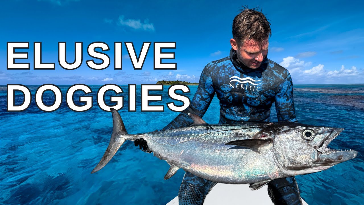 STONED My Biggest Dogtooth Tuna! | Spearfishing French Polynesia