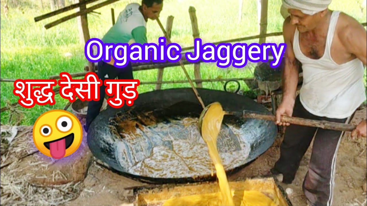 गाँव का शुद्ध और देसी गुड़ 🤪 Making Organic Jaggery  First Time! 😋 #dailyvlog #narinder1233vlogs 