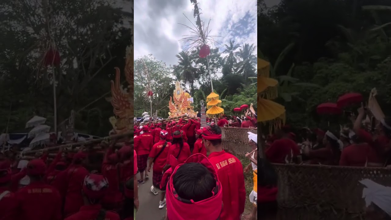 Pelebon ida sri empu dharma kerti desa sawan buleleng