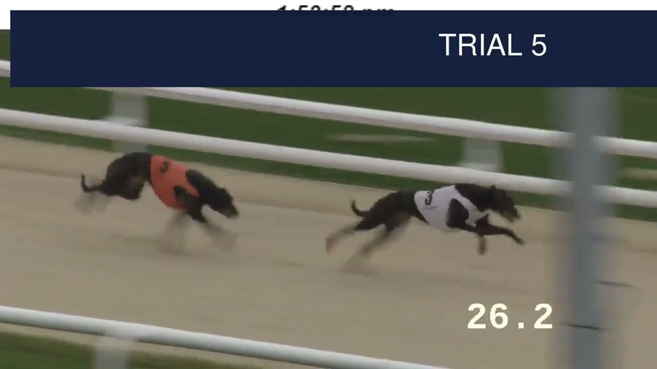 Dunstall Park Trials on 26th February 2026
